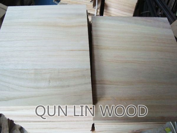 Paulownia puzzle