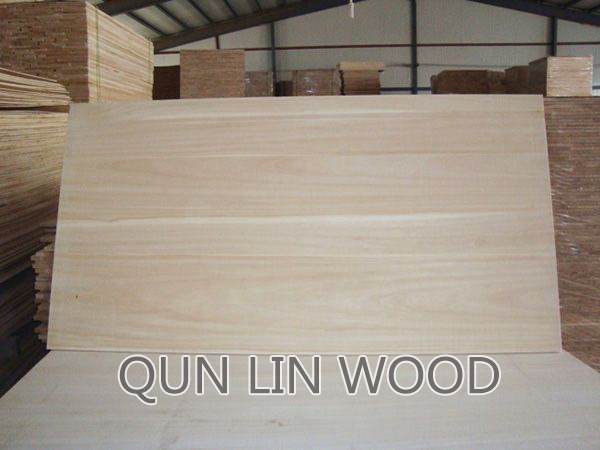 Paulownia puzzle