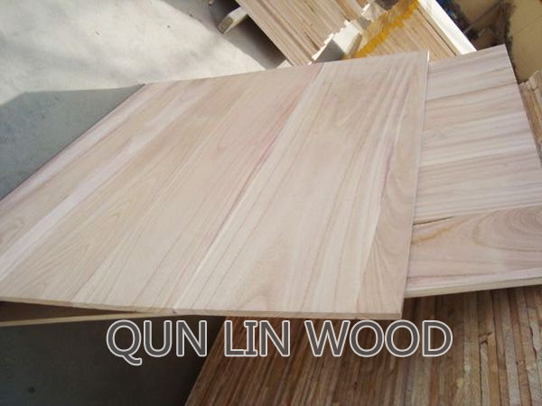 Paulownia puzzle