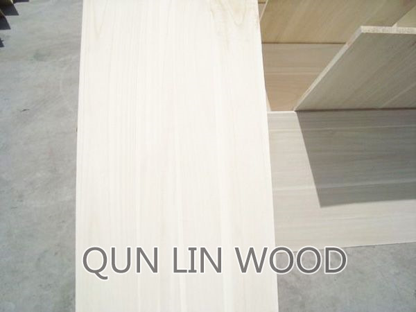 Paulownia puzzle