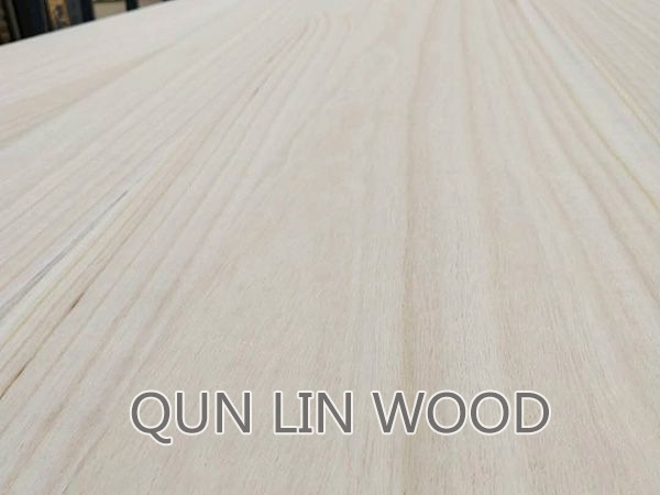 Paulownia puzzle