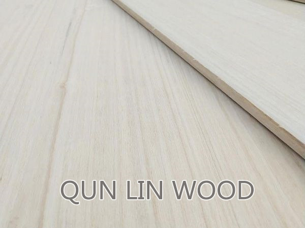 Paulownia puzzle