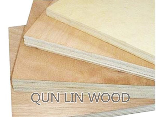 paste MDF