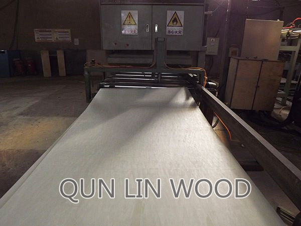 paste MDF