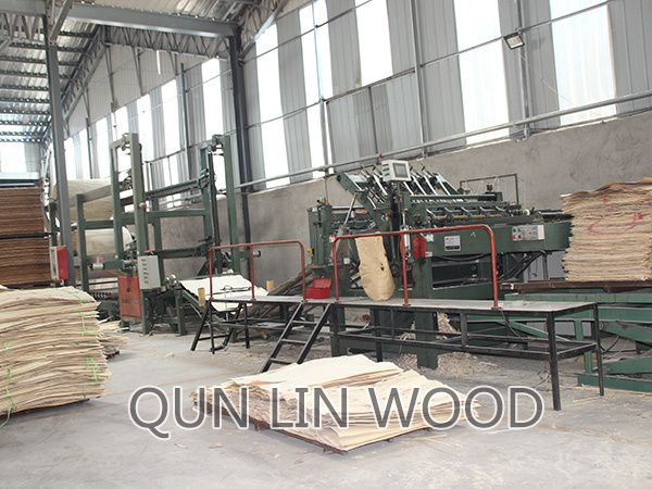 Factory Appearance